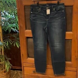 NYDJ Ami Skinny Ankle Cool‎ Embrace -Junipero